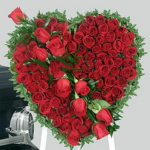 100 Red Roses Heart Shape