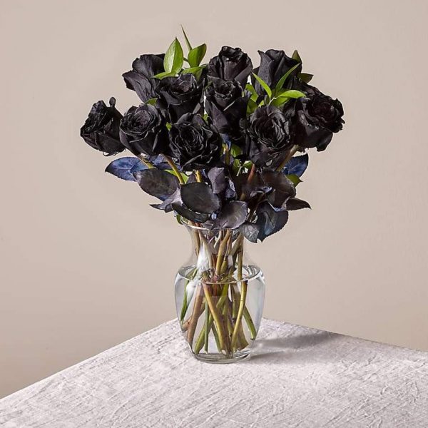 Black Roses Special for Valentines