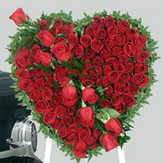 100 Red Roses Heart Shape
